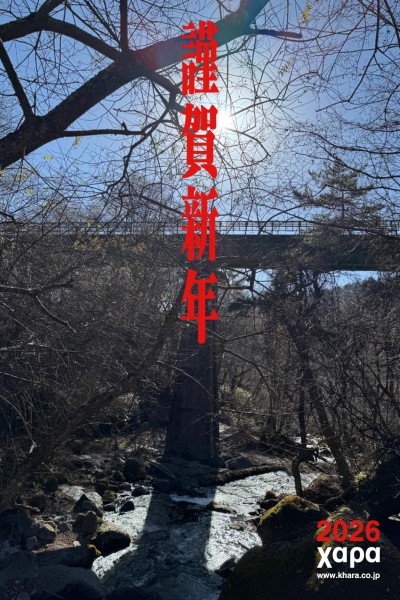 Evangelion Housou 30 Shuunen Kinen Tokubetsu Kougyou poster