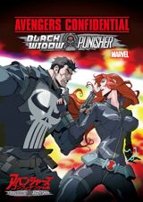 Avengers Confidential: Black Widow & Punisher poster