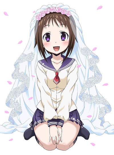 Okusama ga Seitokaichou! poster