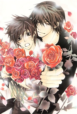 Sekai Ichi Hatsukoi: The World`s Greatest First Love OVAs poster