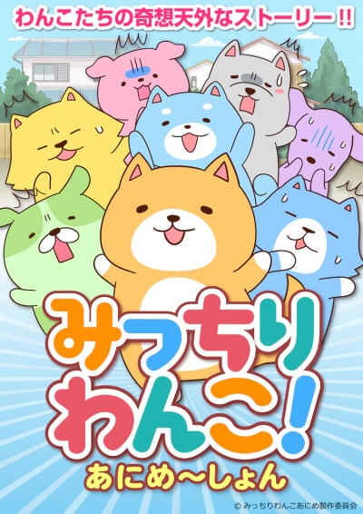 みっちりわんこ! あにめ~しょん poster