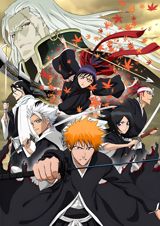 Gekijouban Bleach: Memories of Nobody poster