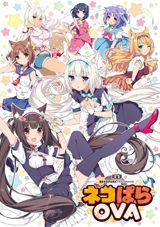 Nekopara poster