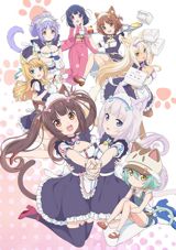 Nekopara (2020) poster