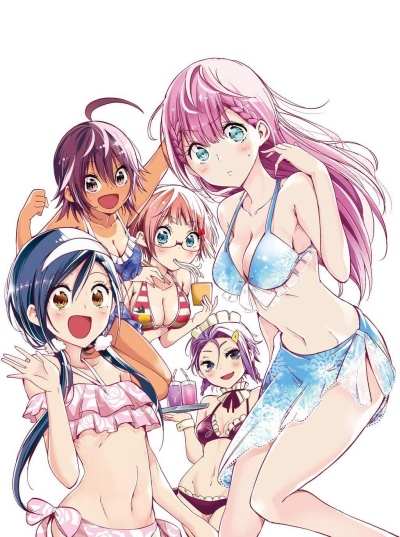 Bokutachi wa Benkyou ga Dekinai: Nagisa ni Usemono Arite Senjin wa Enzen to [X] Suru poster