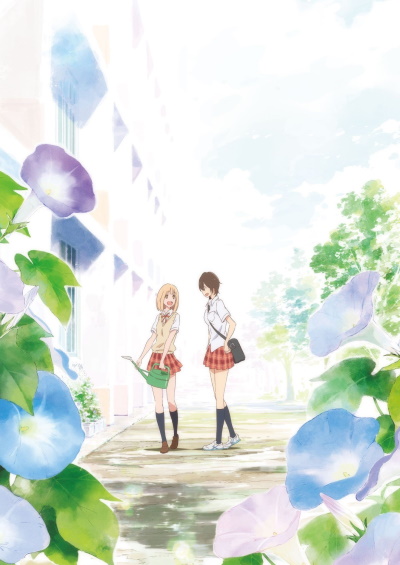 Kimi no Hikari: Asagao to Kase-san. poster