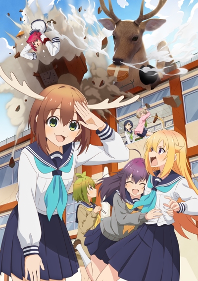 Shikanoko Nokonoko Koshitantan poster