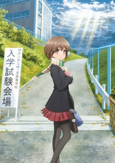 Seishun Buta Yarou wa Odekake Sister no Yume o Minai poster