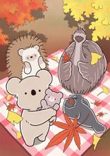 Koala Enikki poster