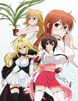 Sekirei poster