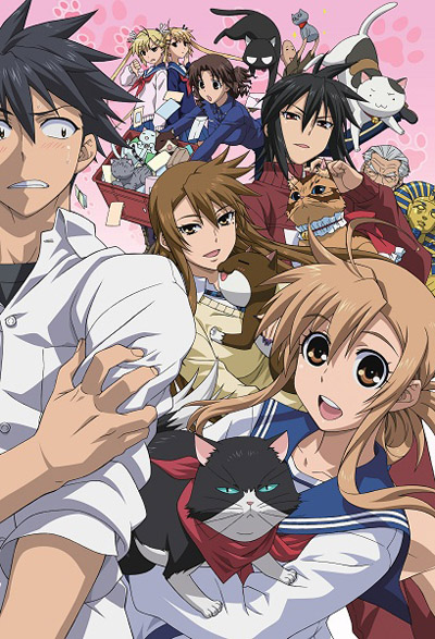 Nyan Koi! poster