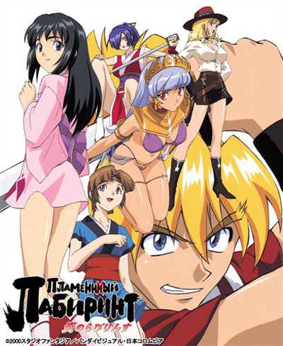 Honoo no Labyrinth poster