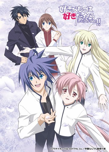 Suki na Mono wa Suki Dakara Shou ga Nai!! poster