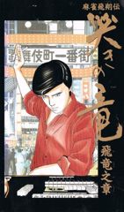 Mahjong Hishouden: Naki no Ryuu - Hiryuu no Shou poster