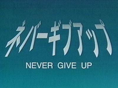 Never Give Up poster