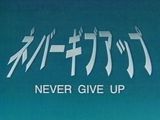Never Give Up poster