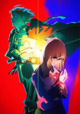Fate Strange Fake poster